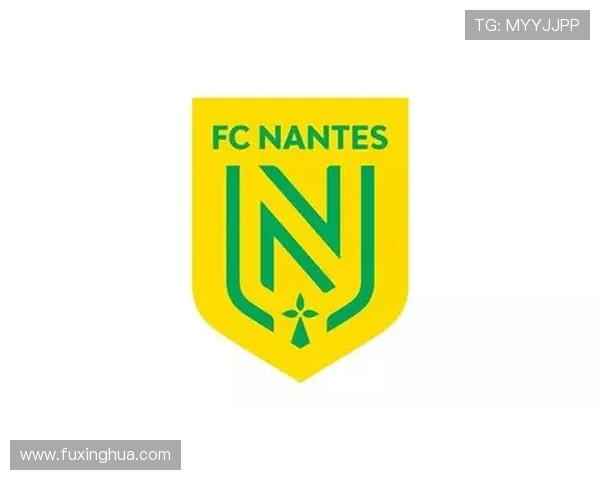 南特足球俱乐部：历史辉煌与未来展望的完美融合
