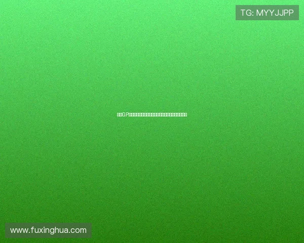 摩托GP赛季更新：新车手加入和技术革新预示激烈竞争局面