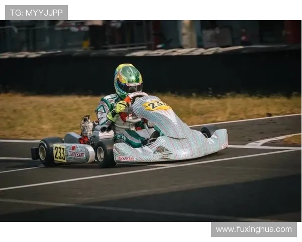 F1赛事激战正酣 多位车手争夺年度总冠军形势紧张