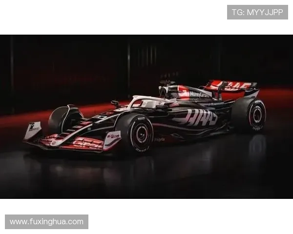 F1赛季收官车队争夺激烈新星崛起冠军悬念再起持续引发车迷热议