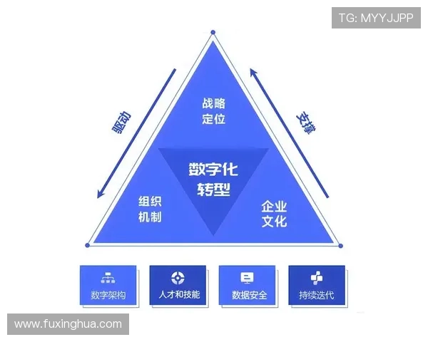 芝加哥公牛队重塑辉煌的历史传承与新时代挑战联盟竞争格局中的奋进之路